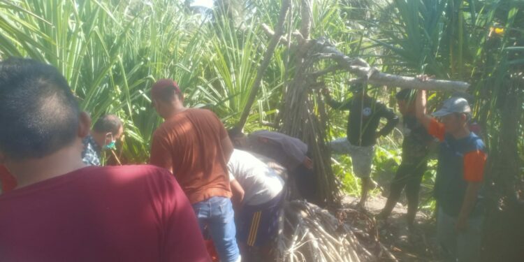 Seorang Perempuan Ditemukan Tewas di Agrabinta Usai 9 Hari Hilang