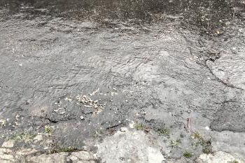 Tetelan Berceceran di Medsos Viral, Warga Sebut Limbah Dari Sate Hanjawar