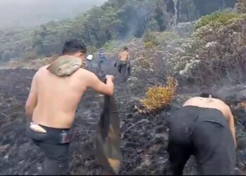 Kebakaran Gunung Gede Berhasil Dipadamkan, TNGGP Catat 29 Hektar Hangus Terbakar