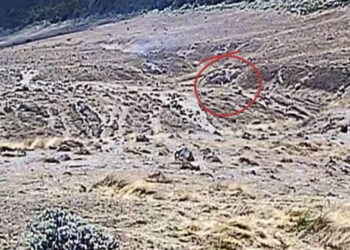 Identitas Sosok Putih Yang Diduga Penyebab Kebakaran Gunung Gede Masih Jadi Misteri