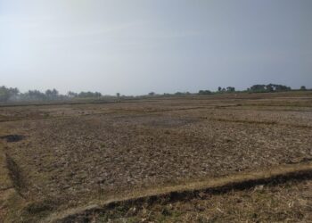 Warga Kelabakan! Sebanyak 18 Kecamatan di Cianjur Mengalami Kekeringan