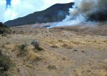 Alun-Alun Suryankancana Gunung Gede Pangrango Terbakar