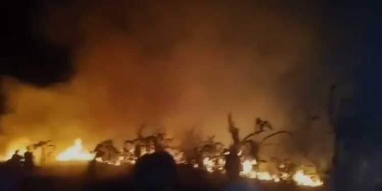 Tebing dan Hutan di 2 Kecamatan Cianjur Hangus Terbakar