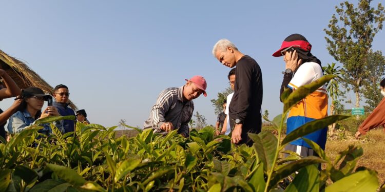 Bacapres Ganjar Pranowo Kunjungi Cianjur