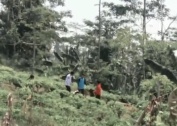 Persoalan Asmara Jadi Penyebab Aksi Kekerasan Pelajar di Takokak