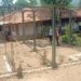 Dansatgas Ungkap Banyak Ratusan RTG Mangkrak di Cianjur