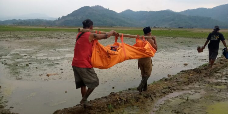 Geger, Mayat Tanpa Identitas di Area Pesawahan Desa Mande