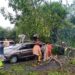Pohon Tumbang Timpa Mobil di Jalan Raya Bandung