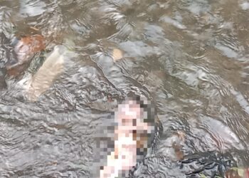 Diduga Baru Saja Dilahirkan, Bayi Dibuang di Sungai Desa Sukamanah