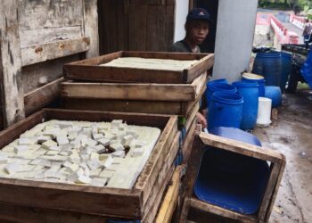 Imbas Harga Kedelai Melejit, Pengusaha Tahu Terpuruk, Ekonomi Makin Buruk
