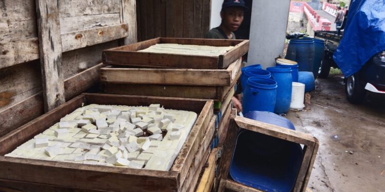 Imbas Harga Kedelai Melejit, Pengusaha Tahu Terpuruk, Ekonomi Makin Buruk