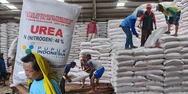Jerit Petani Cianjur Sulit Dapat Pupuk Bersubsidi