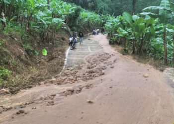 Longsor Tutup Jalan di Bojongpicung Cianjur, Mobil Bermuatan Daun Pisang Tak Bisa Lewat