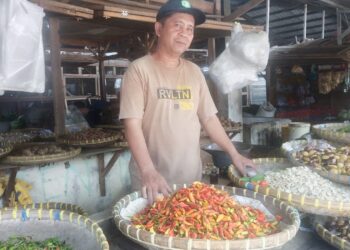 Harga 1 Kg Cabai Rawit Merah Domba Setara 2 Kg Daging Ayam