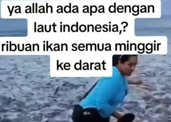 Warga Cianjur Selatan Heboh Bermunculannya Ikan ke Darat, DPKHP Jelaskan Secara Ilmiah