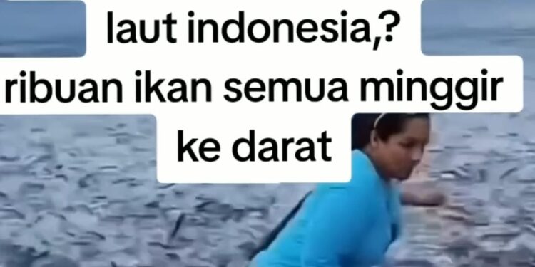 Warga Cianjur Selatan Heboh Bermunculannya Ikan ke Darat, DPKHP Jelaskan Secara Ilmiah