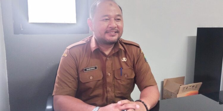 Genjot Penerimaan PBB, Bapenda Cianjur Segera Luncurkan Program Dusling