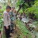 Tempat Penangkaran Jebol, Puluhan Ekor Buaya Lepas ke Pemukiman