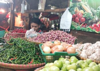 Diduga Petani Gagal Panen, Harga Bawang Putih di Cianjur Naik