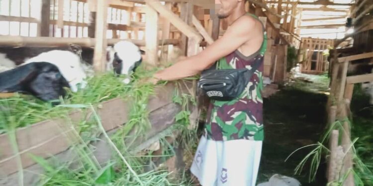 Jumlah Kelompok Ternak di Cianjur Meningkat Kurun Dua Tahun Terakhir