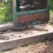 Lurah Sayang Sebut Tempat Lepasnya Buaya Dikelola Balai BKSDA