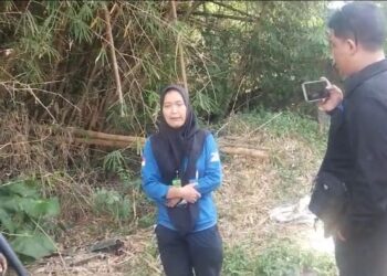 Oknum Pegawai BKSDA Halangi Tugas Jurnalis saat Proses Evakuasi Kawanan Buaya, PWI-IJTI: Langgar UU Pers!