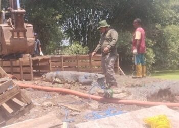 Diduga Kelelahan, Seorang Petugas BKSDA yang Mengevakuasi Buaya Meninggal Dunia