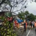 Hujan Deras Disertai Angin Picu Pohon Tumbang di Rawabango