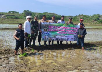 Dukung Program Presiden RI, Polsek Cidaun Luncurkan Ketahanan Pangan Sawah Padi