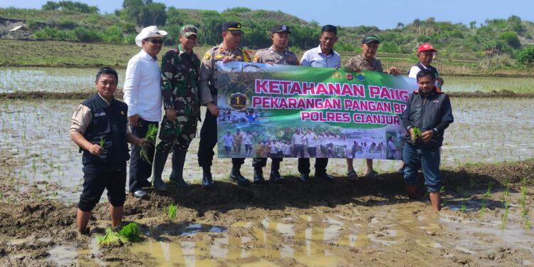 Dukung Program Presiden RI, Polsek Cidaun Luncurkan Ketahanan Pangan Sawah Padi