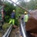 Batu ‘Raksasa’ Tutup Jalan Cianjur-Ciwidey, Akses Kendaraan Lumpuh Total