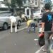 Pemotor ‘Adu Banteng’ di Ciwalen, Satu Orang Tewas di Tempat