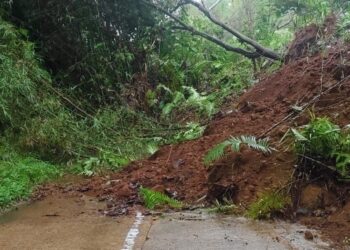 Tebing Longsor, Jalan Sukanagara-Kadupandak Lumpuh karena Tertutup Material