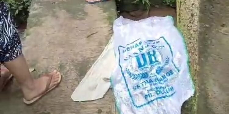Awalnya Dikira Boneka, Warga Temukan Mayat Bayi Tersangkut di Selokan