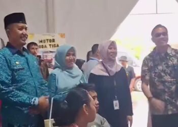 Dinsos Hadiri Peringatan Hari Disabilitas Nasional di Tim Jakarta