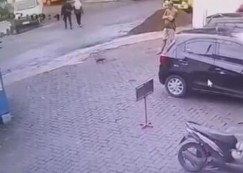 Seorang Pria Tendang Kucing Hingga Mati, Aksinya Terekam CCTV