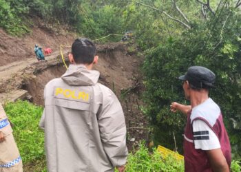 Tergelincir saat Melintasi Jalan Ambles Terdampak Bencana, Truk Terjun Bebas ke Jurang