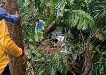 Mobil Minibus Terseret Material Tanah Longsor di Cibinong, Sopir dan Penumpang Selamat