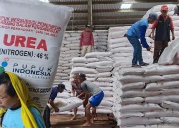 PT Pupuk Indonesia Pastikan Petani Cukup Tebus Pupuk Subsidi dengan KTP Elektronik