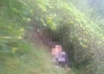 Warga Temukan Mayat Perempuan di Kawasan Perkebunan Teh Cugenang