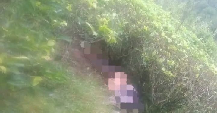 Warga Temukan Mayat Perempuan di Kawasan Perkebunan Teh Cugenang