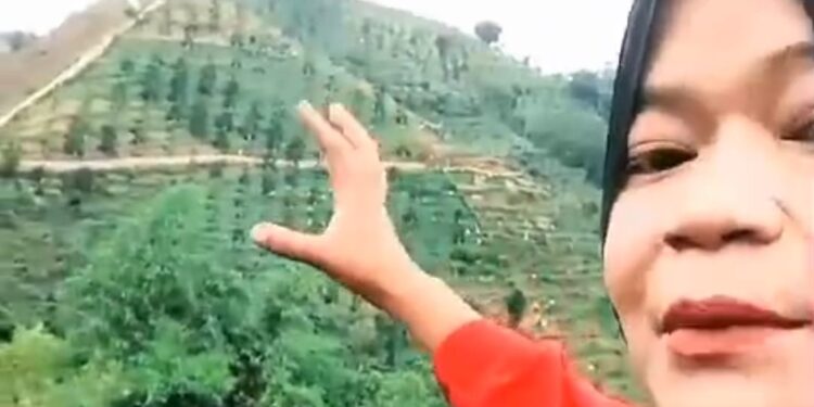 Viral Gunung Kasur Dijual, Ini Kata Camat Pacet!