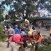 Bruk! Pohon Tumbang Timpa Angkot saat Angin Kencang