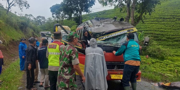 Elf Jurusan Cianjur-Kalapanunggal Tertimpa Pohon Tumbang di Sukanagara, Sopir Alami Luka Benturan