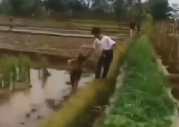 Bocah Ingusan Diduga Curi Mobil, Nyaris Diamuk Warga di Ciranjang