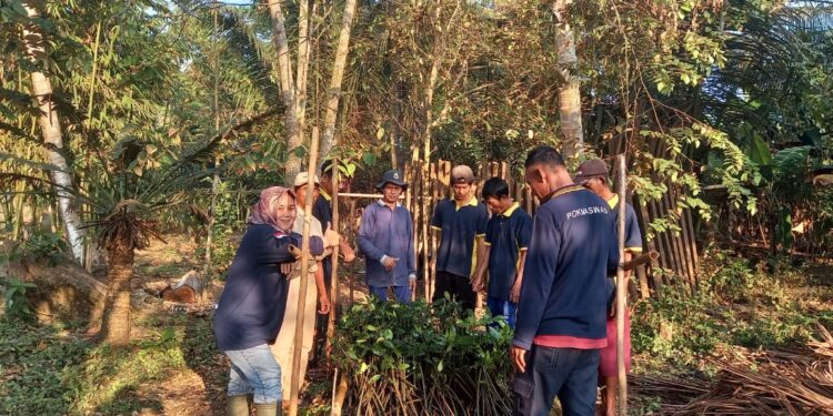 Didukung Alumni IPB, Dinas PKHP Cianjur Akan Perluas Lahan Tanaman Mangrove