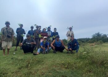 Dinas PKHP Tanam Pohon Mangrove di Pesisir Pantai Selatan, Cegah Abrasi hingga Tsunami