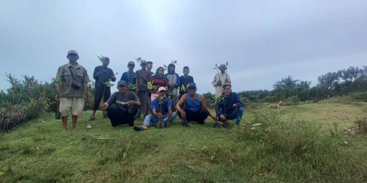 Dinas PKHP Tanam Pohon Mangrove di Pesisir Pantai Selatan, Cegah Abrasi hingga Tsunami