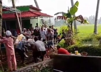 Sapi Ngamuk Saat Hendak Disembelih, Seorang Panitia Kurban Alami Patah Tulang