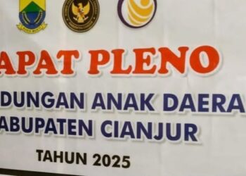 Pleno Pemilihan Calon Ketua KPAID Cianjur Diduga Ilegal, DP2KBP3A Beri Penjelasan!